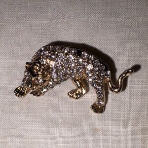 Goldtone animal pin with rhinestones on body and eyes. $12